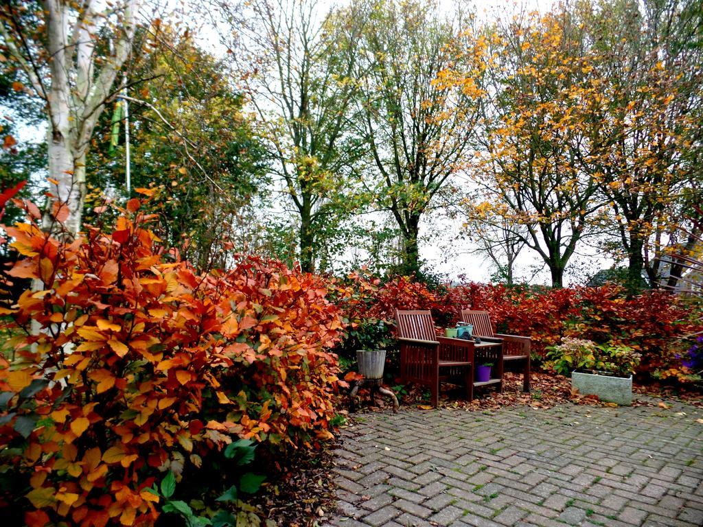 Bed En Breakfast De Pauw Wieringerwaard Exterior foto