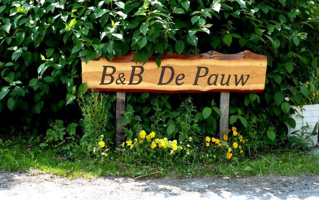 Bed En Breakfast De Pauw Wieringerwaard Zimmer foto