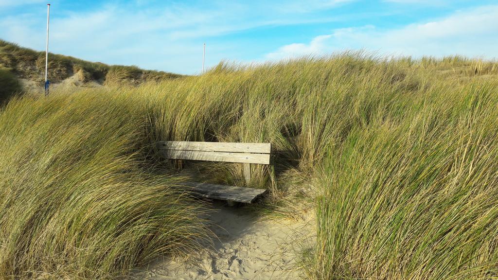 Bed En Breakfast De Pauw Wieringerwaard Exterior foto