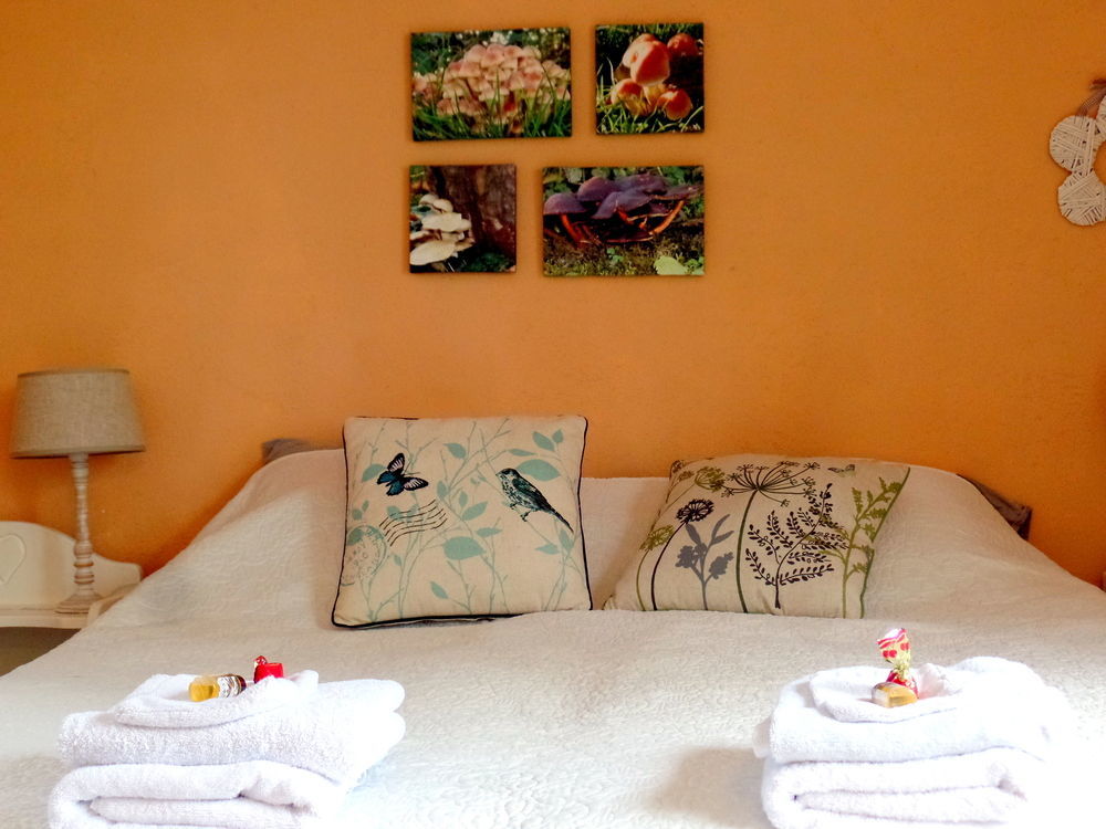 Bed En Breakfast De Pauw Wieringerwaard Exterior foto