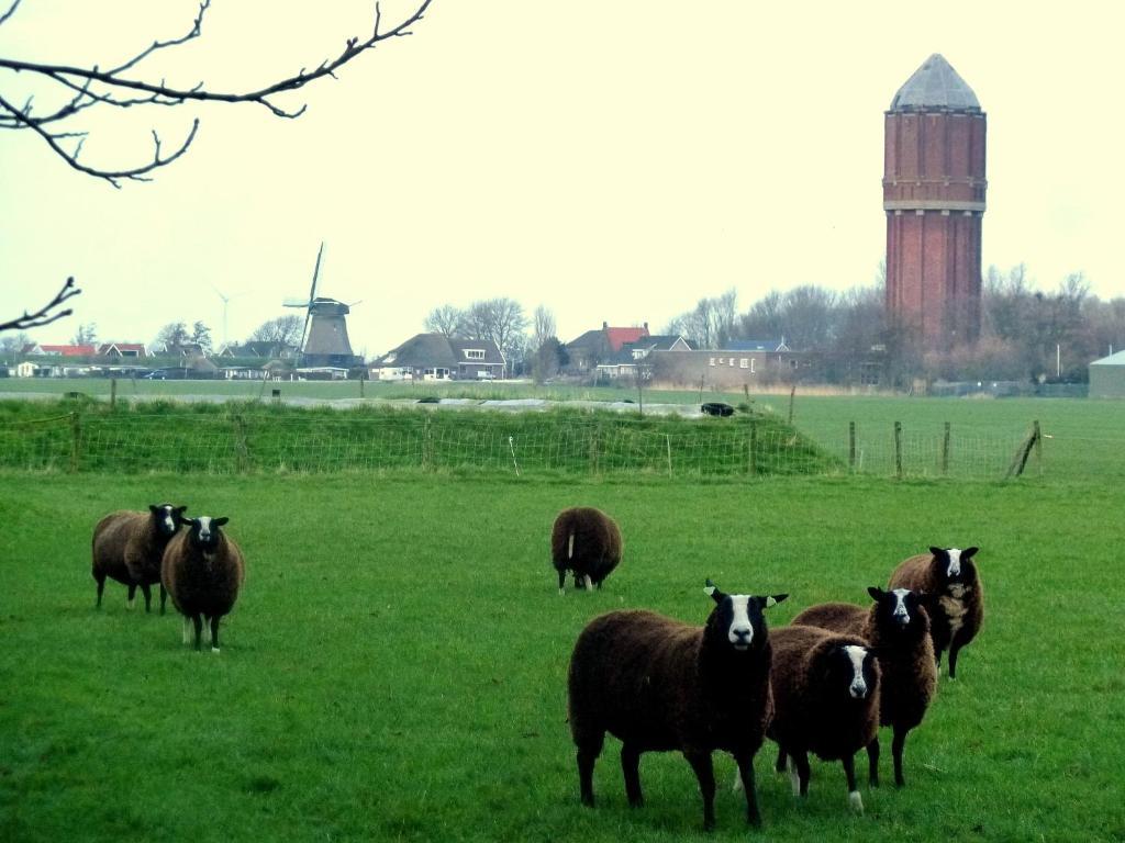 Bed En Breakfast De Pauw Wieringerwaard Zimmer foto